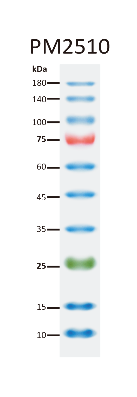 ExcelBand™ Enhanced 3-color Regular Range Protein Marker, 250 μl x 2