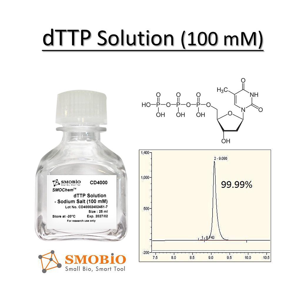 [CD4000] SMOChem™ dTTP Solution - Sodium Salt (100 mM), 25ml
