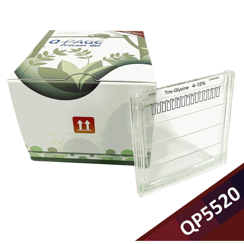 [QP5520] Q-PAGE™ TGN Precast Gel (Midi, 15 wells, 4-15%), 10 gels