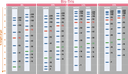 ExcelBand™ 3-color High Range Protein Marker, 250 μl x 2