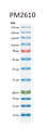 ExcelBand™ Enhanced 3-color High Range Protein Marker, 250 μl x 2