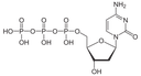 SMOChem™ dCTP Solution - Sodium Salt (100 mM), 25 ml