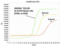 ExcelTaq™ 2X Q-PCR Master Mix (SYBR, no ROX), 200 RXN
