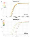 [RP2100] ExcelRT™ 2X One-Step RT-qPCR Kit (TaqMan, ROX), 200 Rxn