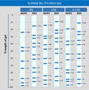 [QP2110] Q-PAGE™ Bis-Tris Precast Gel (Mini, 12 wells, 8%), 10 gels