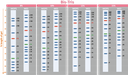 [PM5100] ExcelBand™ 3-color Pre-stained Protein Ladder, High Range (9-245 kDa), 250 μl x 2