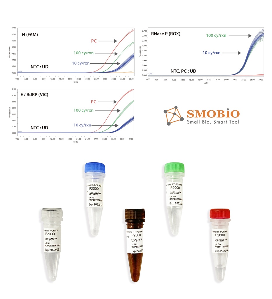 [IP2000] IdPath™ COVID-19 Real-Time RT-PCR Kit, 100 RXN