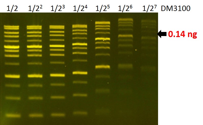[DL5001] FluoroDye™ DNA Fluorescent Loading Dye (Green, 6X), 1 ml x 5