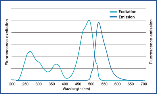 [DL5001] FluoroDye™ DNA Fluorescent Loading Dye (Green, 6X), 1 ml x 5