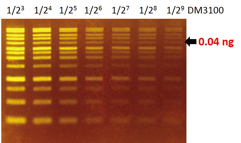 [DS1001] FluoroStain™ DNA Fluorescent Staining Dye (Green, 10,000X), 500 μl x 5 