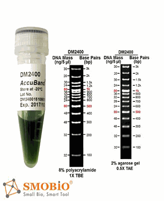 [DM2400] [DM2400] AccuBand™ 100 bp+3K DNA Ladder II, 500 μl