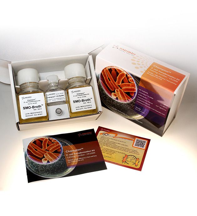 [CK1000] [CK1000] Champion™ E. coli Transformation Kit, 200 Rxn