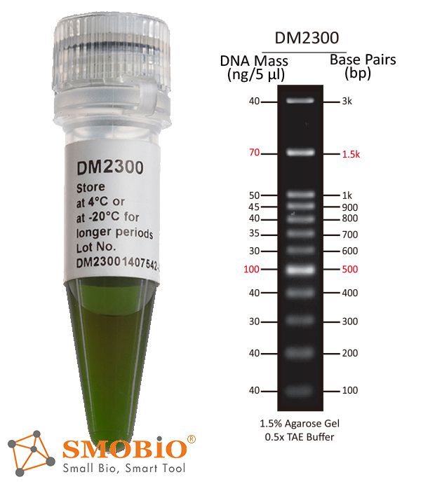 [DM2300] [DM2300] ExcelBand™ 100 bp+3K DNA Ladder, 500μl