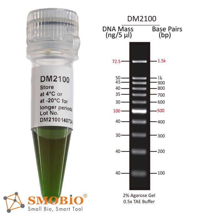 [DM2100] [DM2100] ExcelBand™ 100 bp DNA Ladder, 500μl