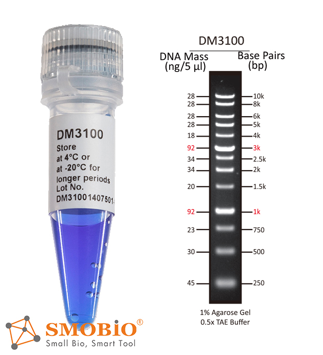 [DM3100] [DM3100] ExcelBand™ 1KB (0.25-10 kb) DNA Ladder, 500 μl