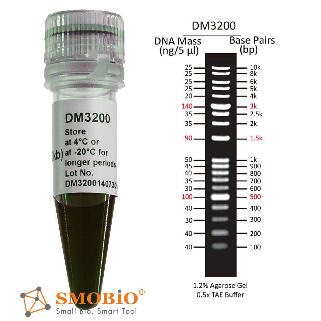 [DM3200] [DM3200] ExcelBand™ 1 KB Plus (0.1-10 kb) DNA Ladder, 500μl