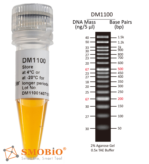 [DM1100] [DM1100] ExcelBand™ 50 bp DNA Ladder, 500 μl
