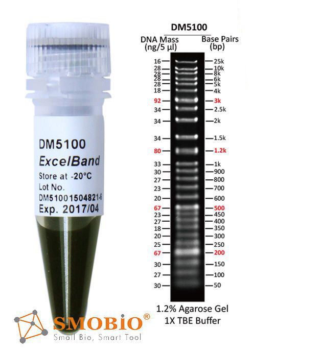 [DM5100] [DM5100] ExcelBand™ Super Range DNA Ladder (50 bp-25 kb), 500 μl