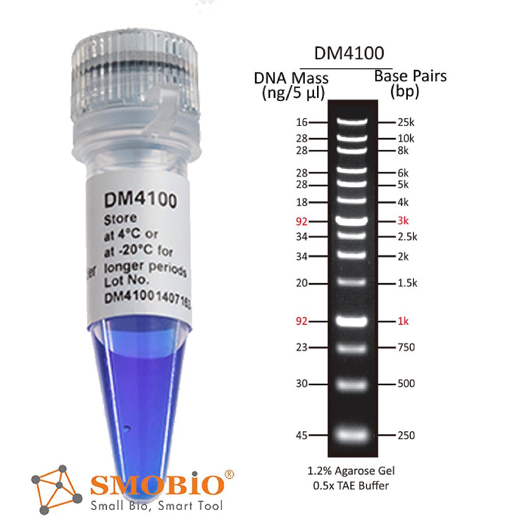 [DM4100] [DM4100] ExcelBand™ XL 25 kb DNA Ladder, Broad Range (up to 25 kb), 500 μl