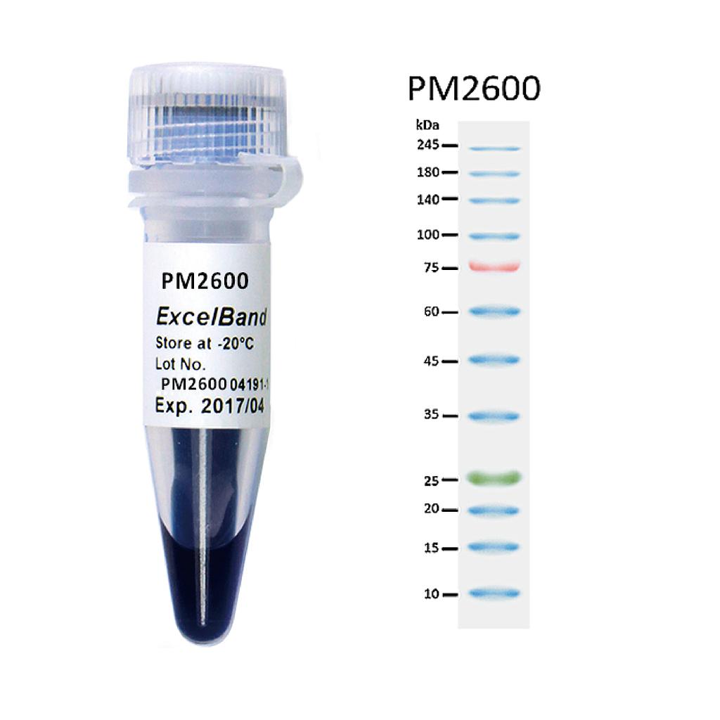 [PM2600] [PM2600] ExcelBand™ 3-color High Range Protein Marker (9-245 kDa), 250 μl x 2