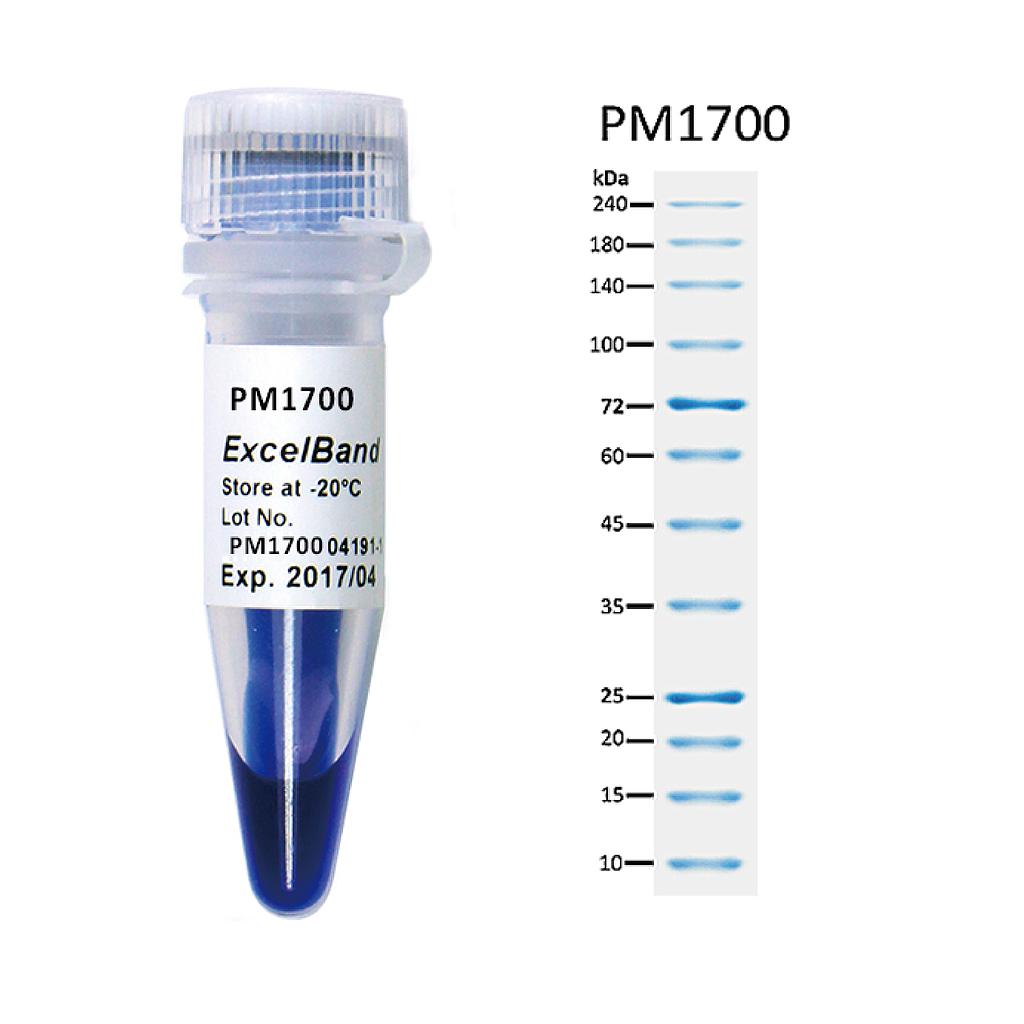 [PM1700] [PM1700] ExcelBand™ All Blue Broad Range Protein Marker (9-240 kDa), 250 μl x 2