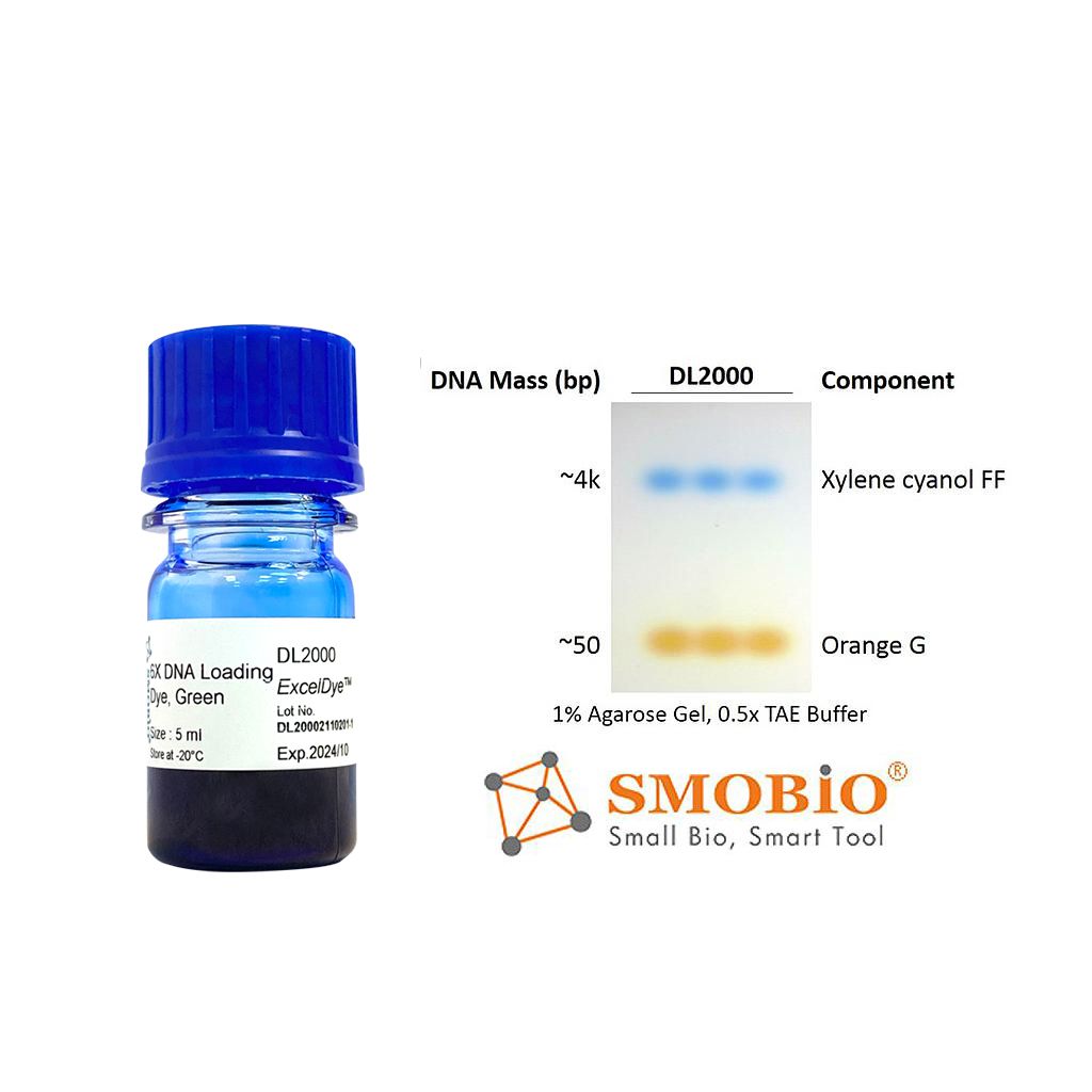 [DL2000] [DL2000] ExcelDye™ 6X DNA Loading Dye, Green, 5 ml x 2