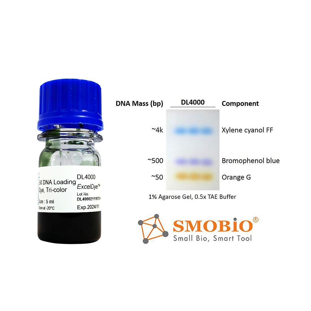 [DL4000] [DL4000] ExcelDye™ 6X DNA Loading Dye, Tri-color, 5 ml x 2