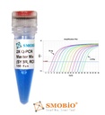 [TQ1110] ExcelTaq™ 2X Q-PCR Master Mix (SYBR, ROX), 200 RXN