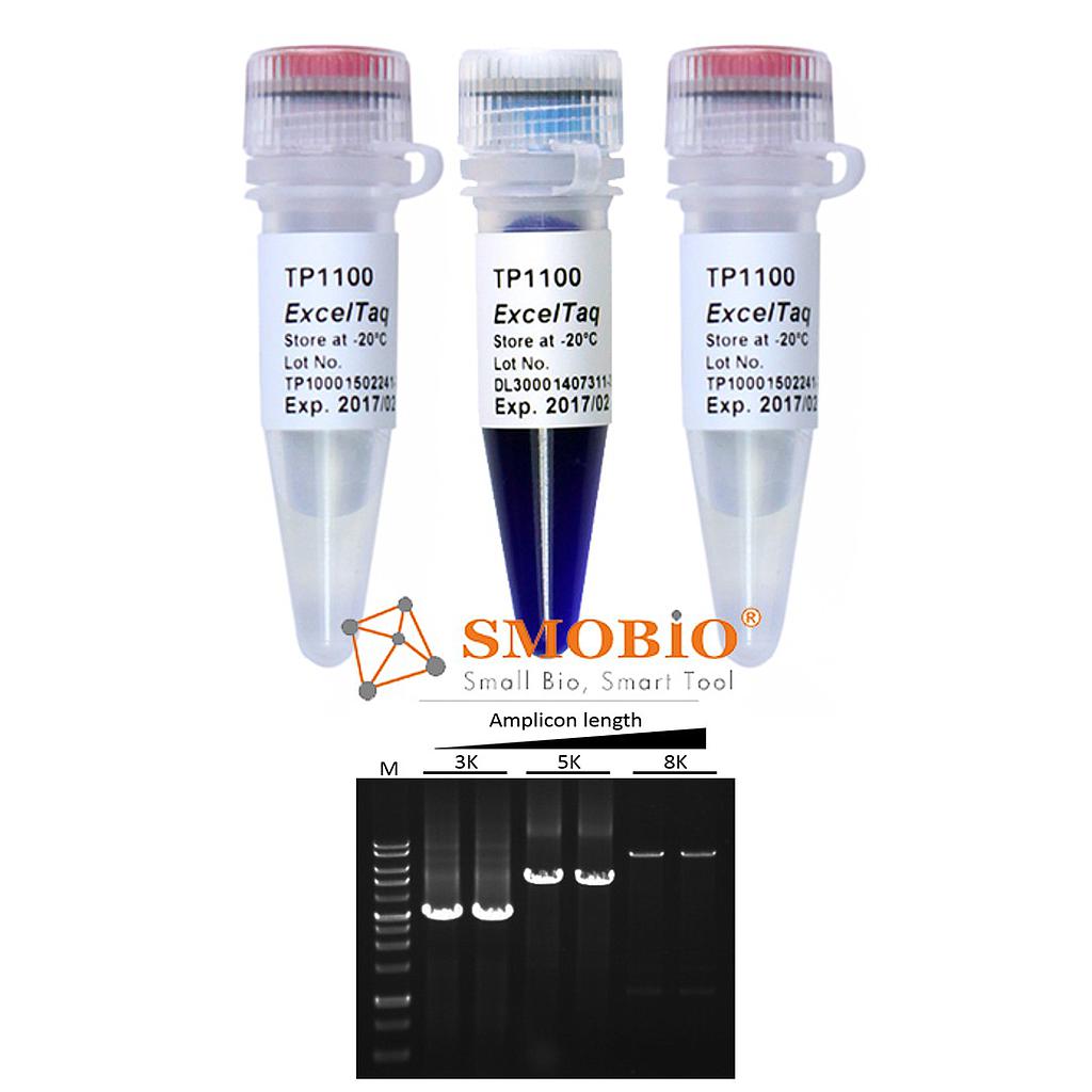 [TP1100] [TP1100/TP1120] ExcelTaq™ 5X/2X PCR Master Mix