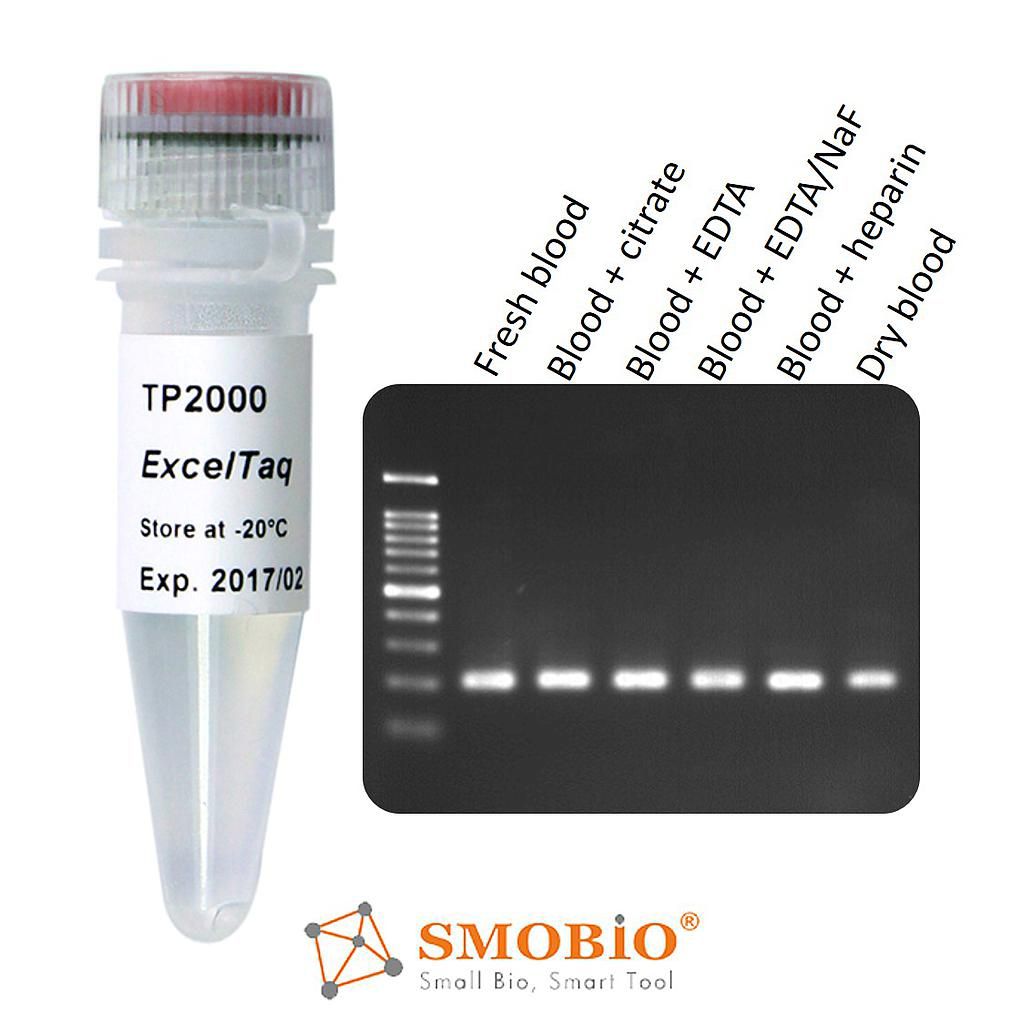[TP2000] [TP2000] ExcelTaq™ Blood Direct DNA Polymerase, 5 U/μl, 500 U