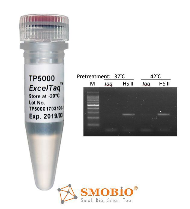 [TP5000] [TP5000] ExcelTaq™ Hot Start II DNA Polymerase (5 U/μl, 500 U)