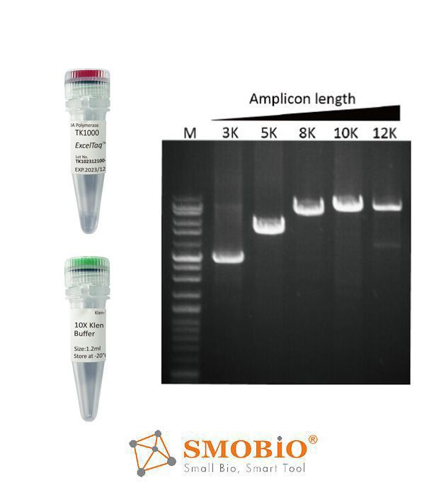 [TK1000] [TK1000] ExcelTaq™ Klen-Taq DNA Polymerase, 5 U/μl, 500 U