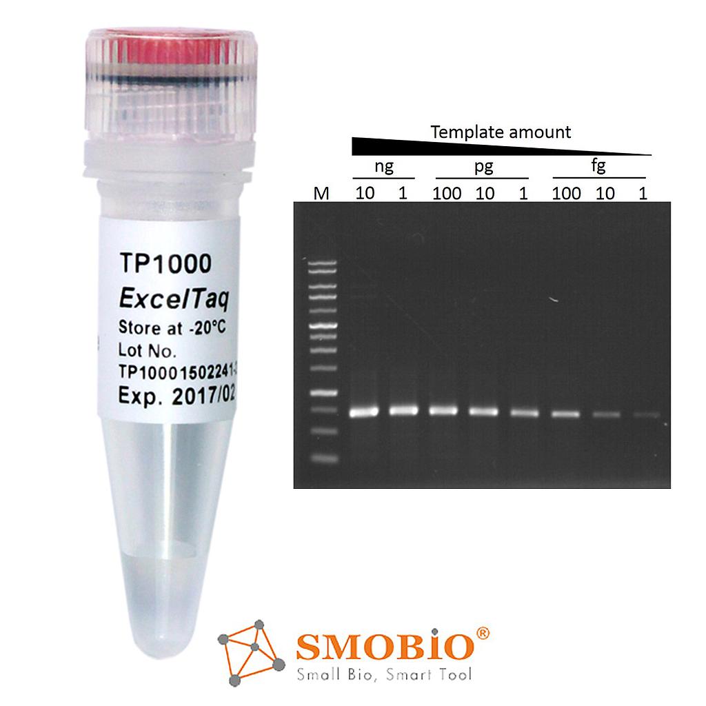 [TP1000] [TP1000] ExcelTaq™ Taq DNA Polymerase, 5 U/μl, 500 U