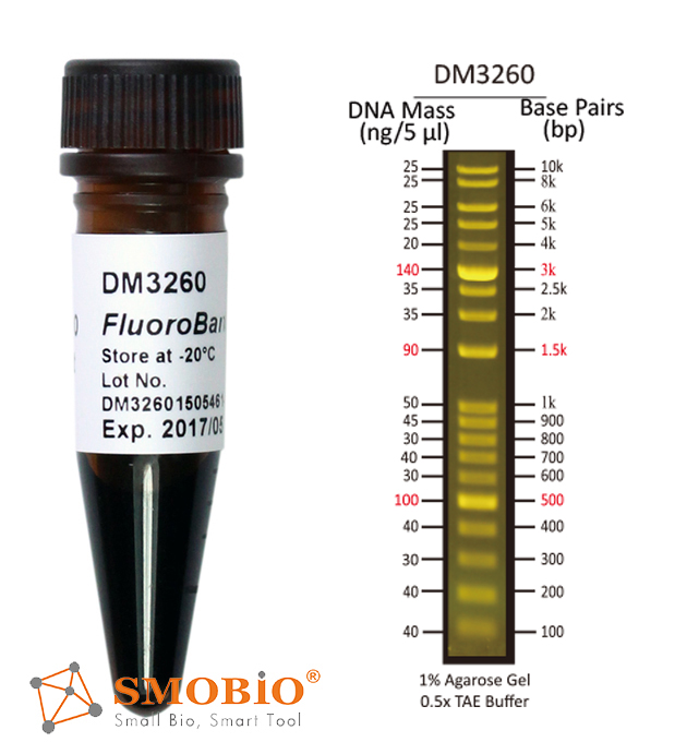 [DM3260] [DM3260] FluoroBand™ 1 KB Plus (0.1-10 kb) Fluorescent DNA Ladder, 500 μl