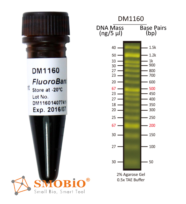 [DM1160] [DM1160] FluoroBand™ 50 bp Fluorescent DNA Ladder, 500 μl