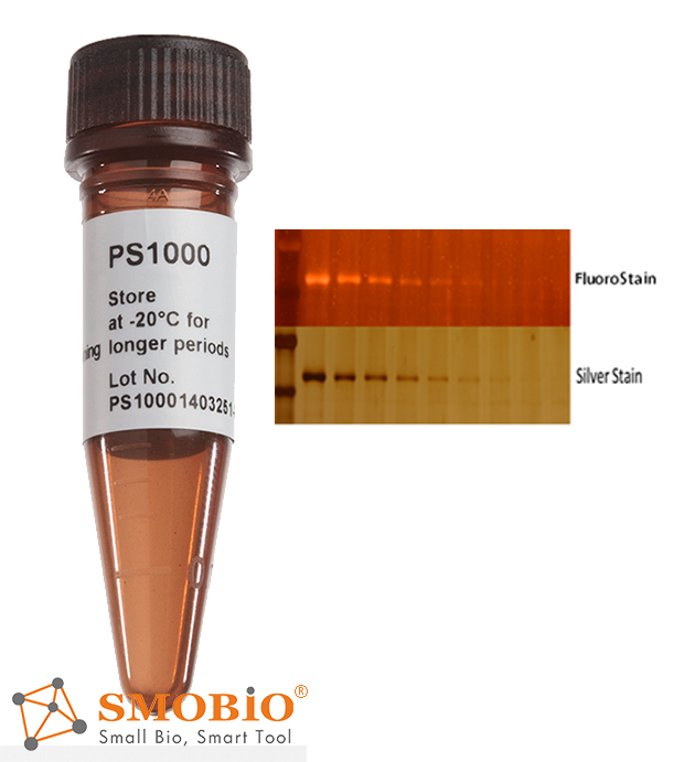 [PS1000] [PS1000] FluoroStain™ Protein Fluorescent Staining Dye (Red, 1,000X), 1 ml