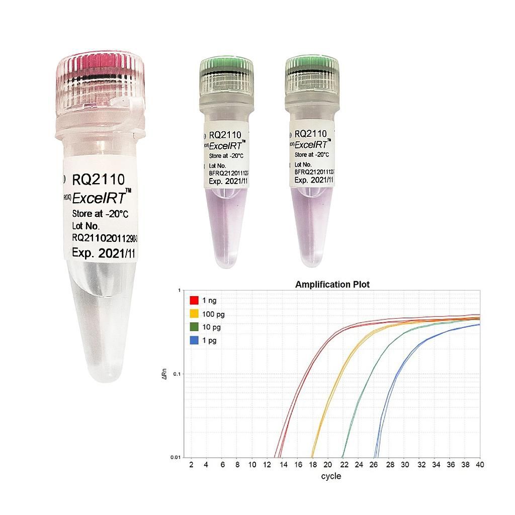 [RQ2110] [RQ2110] ExcelRT™ One-Step RT-qPCR Kit (TaqMan, ROX), 200 RXN