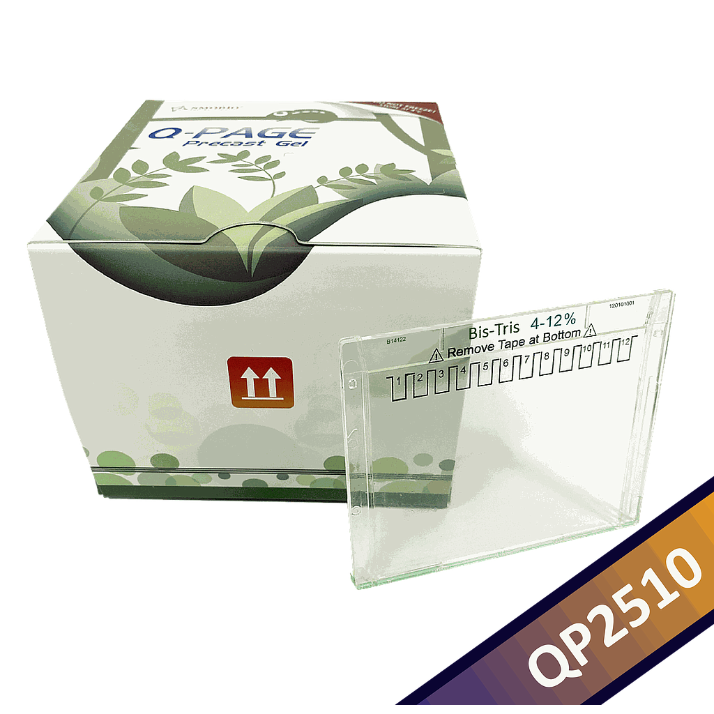 [QP2510] [QP2510] Q-PAGE™ Bis-Tris Precast Gel (Mini, 12 wells, 4-12%), 10 gels