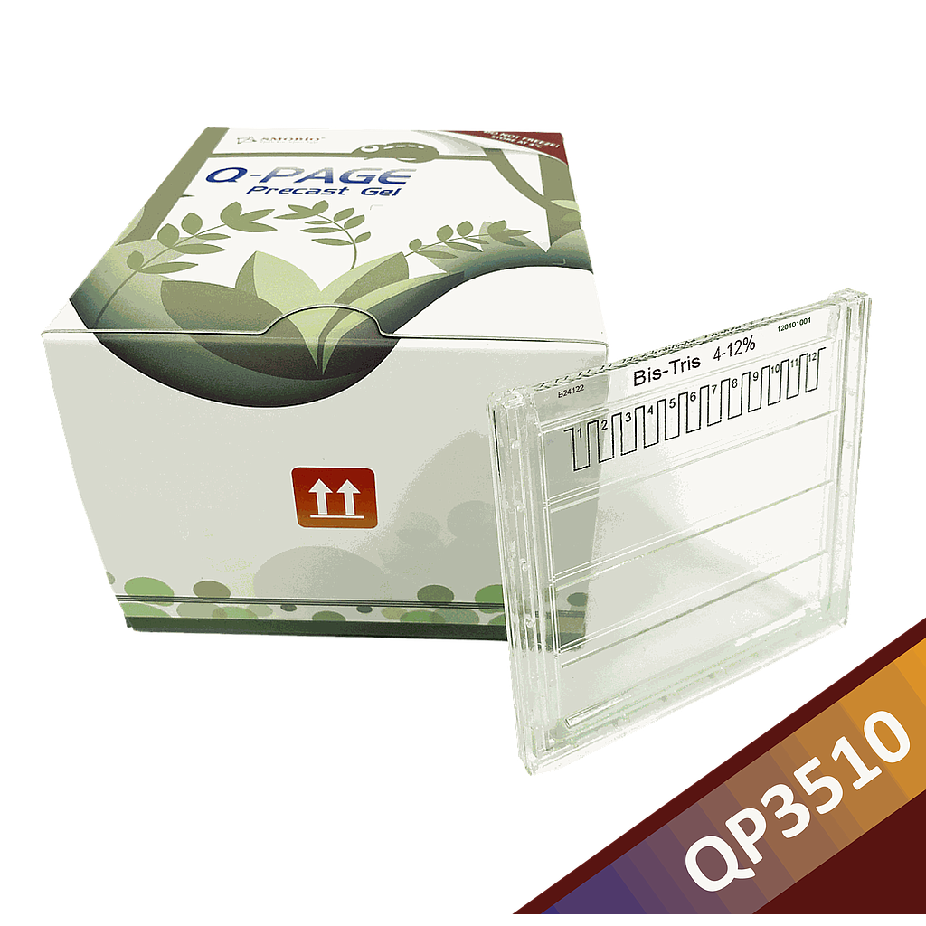 [QP3510] [QP3510] Q-PAGE™ Bis-Tris Precast Gel (Midi, 12 wells, 4-12%), 10 gels