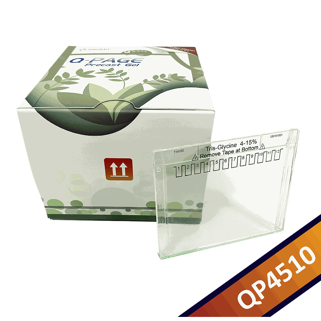 [QP4510] [QP4510] Q-PAGE™ TGN Precast Gel (Mini, 12 wells, 4-15%), 10 gels