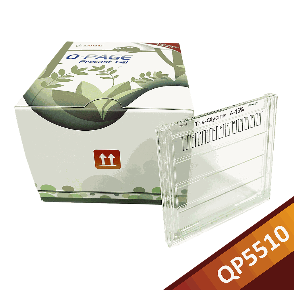 [QP5510] [QP5510] Q-PAGE™ TGN Precast Gel (Midi, 12 wells, 4-15%), 10 gels