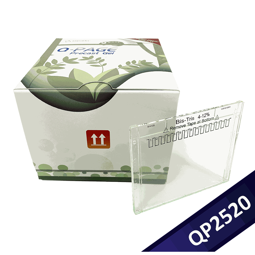 [QP2520] [QP2520] Q-PAGE™ Bis-Tris Precast Gel (Mini, 15 wells, 4-12%), 10 gels