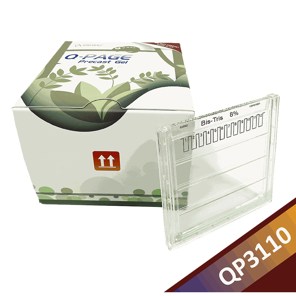 [QP3110] [QP3110] Q-PAGE™ Bis-Tris Precast Gel (Midi, 12 wells, 8%), 10 gels