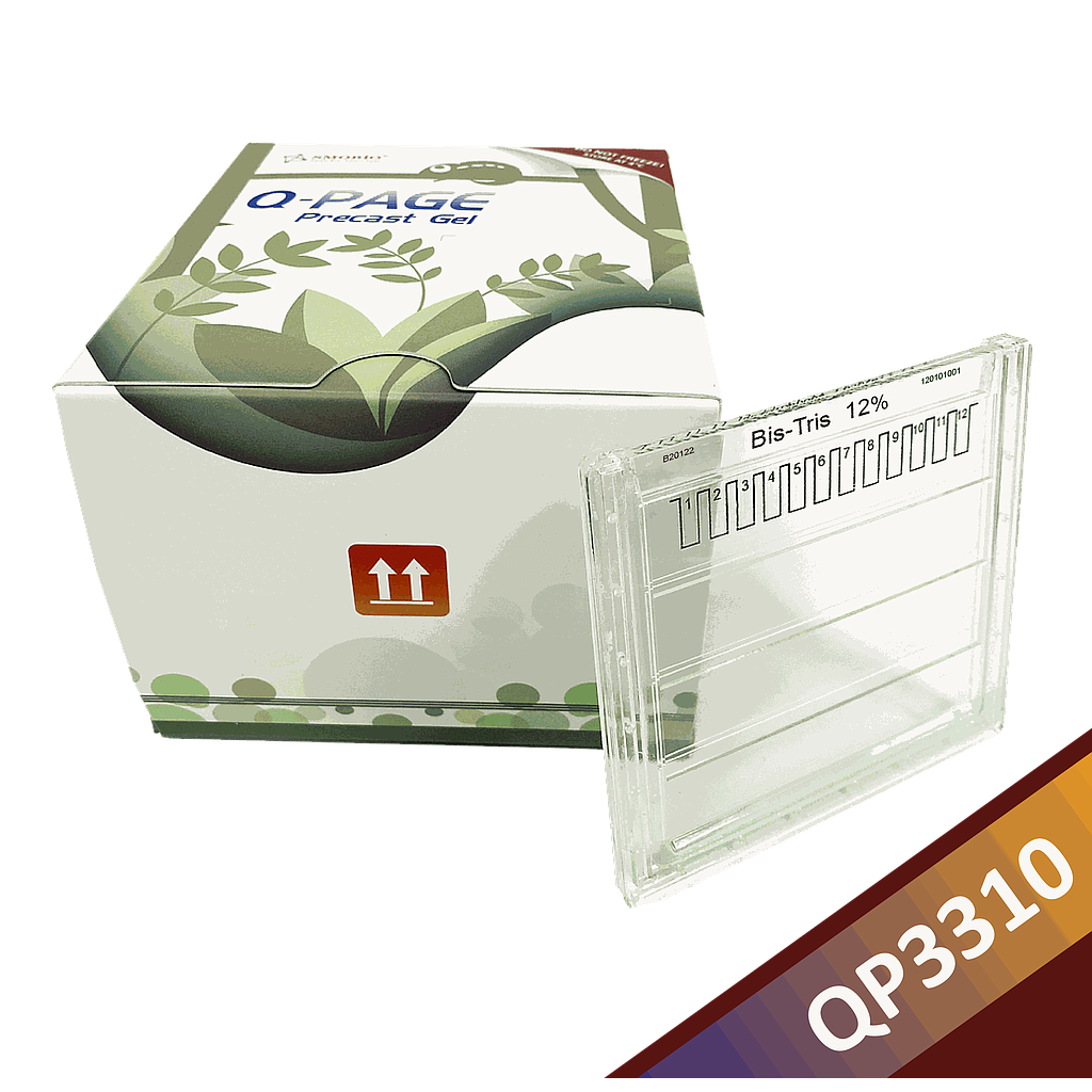 [QP3310] [QP3310] Q-PAGE™ Bis-Tris Precast Gel (Midi, 12 wells, 12%), 10 gels