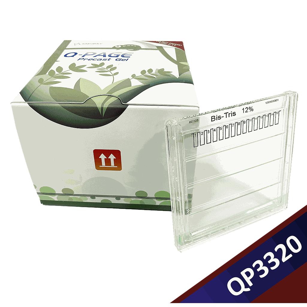 [QP3320] [QP3320] Q-PAGE™ Bis-Tris Precast Gel (Midi, 15 wells, 12%), 10 gels