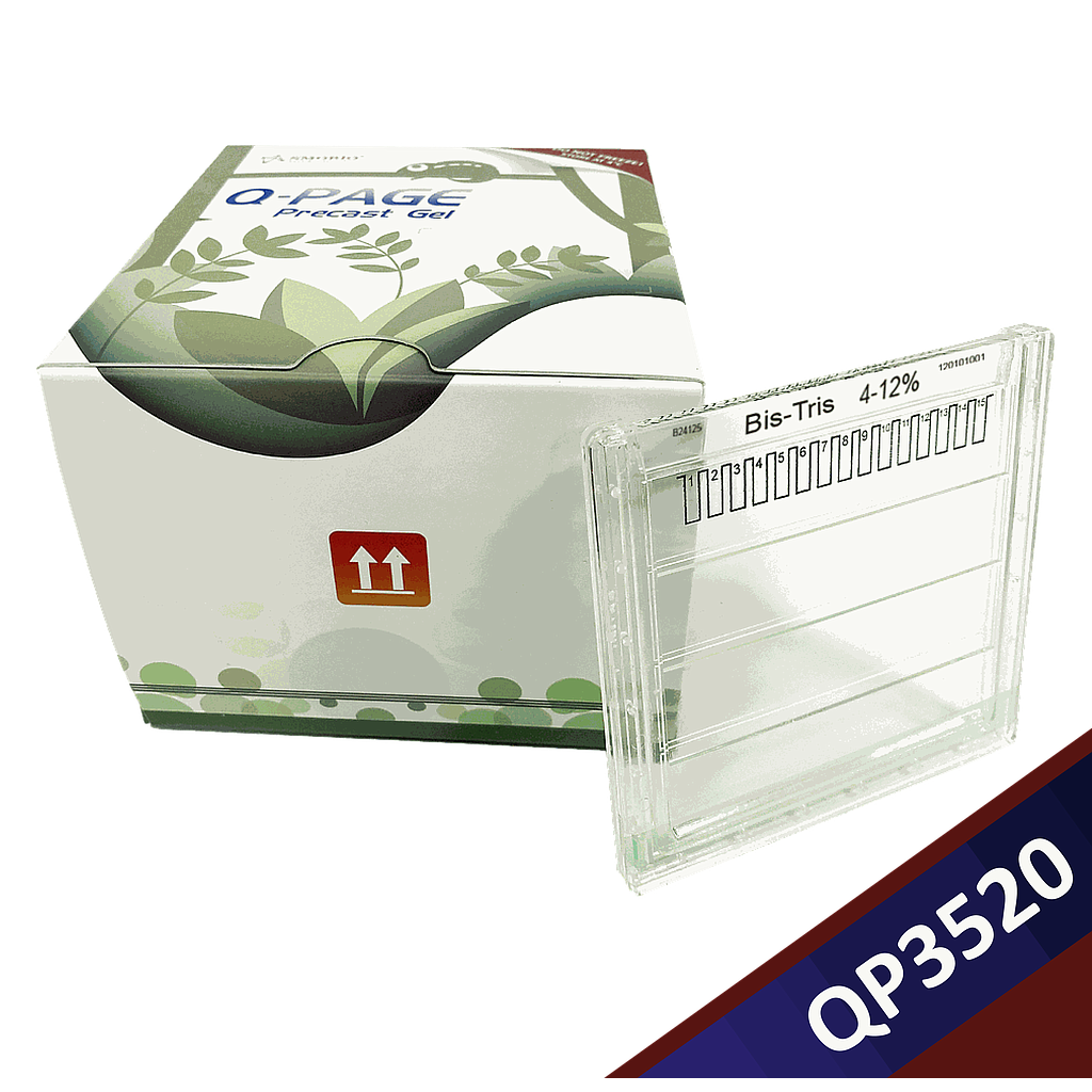 [QP3520] [QP3520] Q-PAGE™ Bis-Tris Precast Gel (Midi, 15 wells, 4-12%), 10 gels