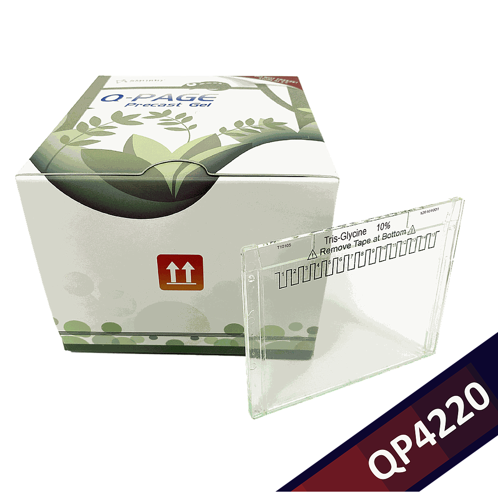 [QP4220] [QP4220] Q-PAGE™ TGN Precast Gel (Mini, 15 wells, 10%), 10 gels