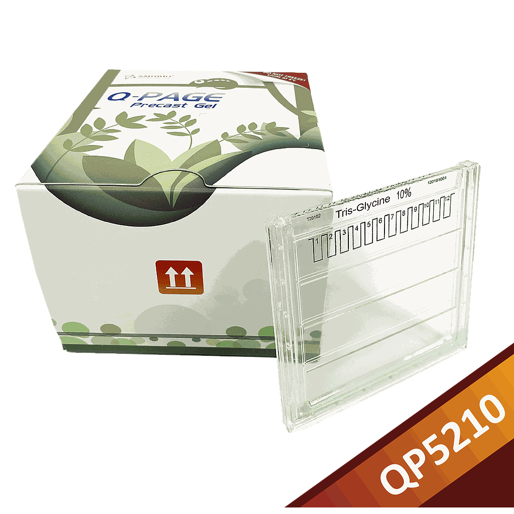 [QP5210] [QP5210] Q-PAGE™ TGN Precast Gel (Midi, 12 wells, 10%), 10 gels
