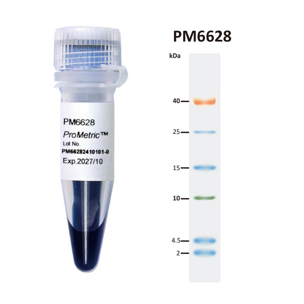 [PM6628] [PM6628] ProMetric™ TriColor Low Range Protein Ladder, 2 to 40 kDa, 250 μl